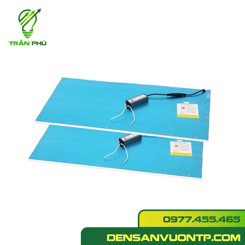 Panel 600x1200 mỏng
